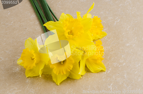 Image of Jonquil flowers