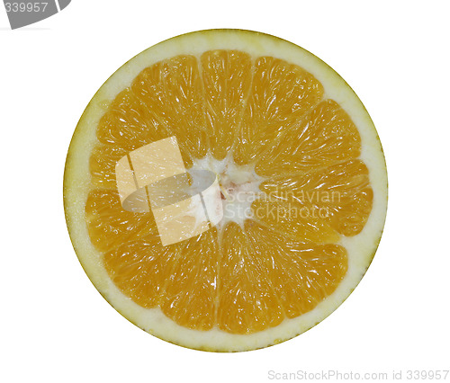 Image of Orange Slice