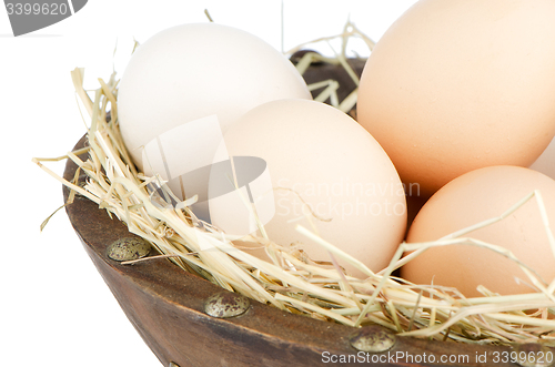 Image of Eggs closeup