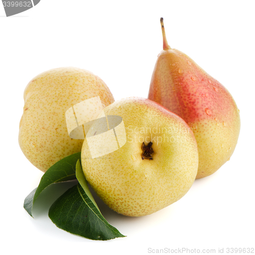Image of Three ripe pears