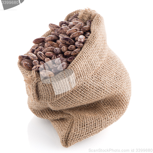 Image of Pinto beans bag