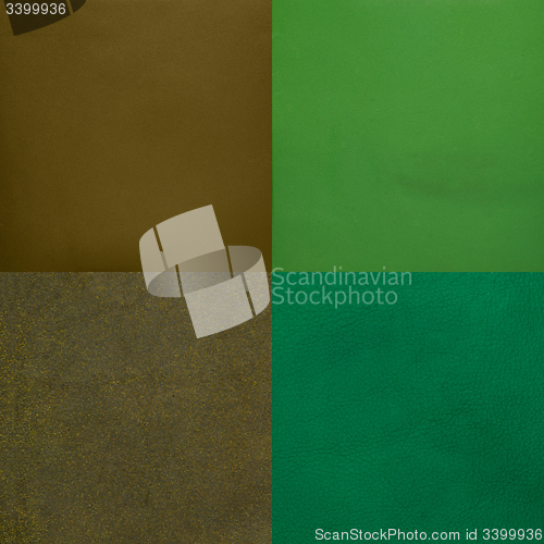 Image of Set of green leather samples