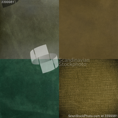 Image of Set of green leather samples