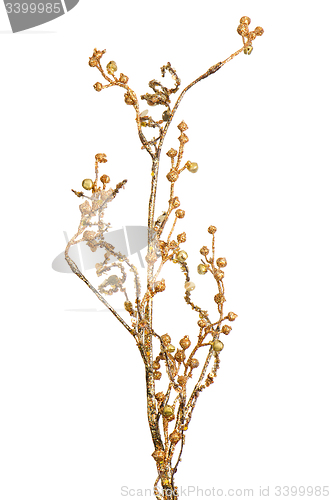 Image of Golden Christmas decoration branches