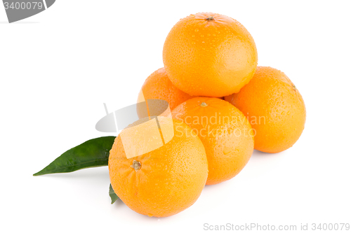 Image of Ripe tangerine or mandarin