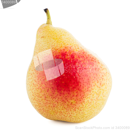 Image of Single ripe pear 