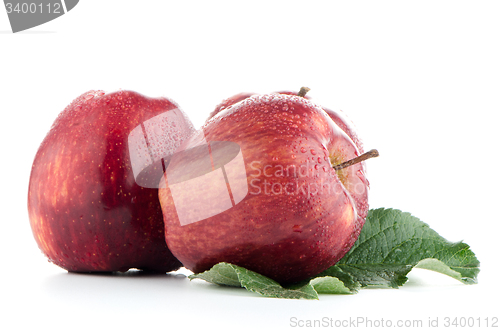 Image of Ripe red apples