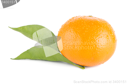 Image of Ripe tangerine or mandarin