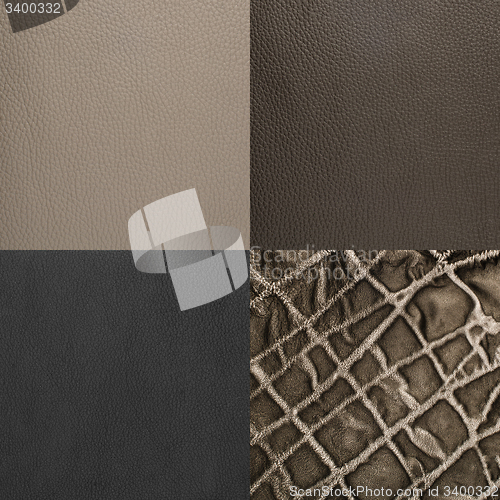 Image of Set of grey leather samples