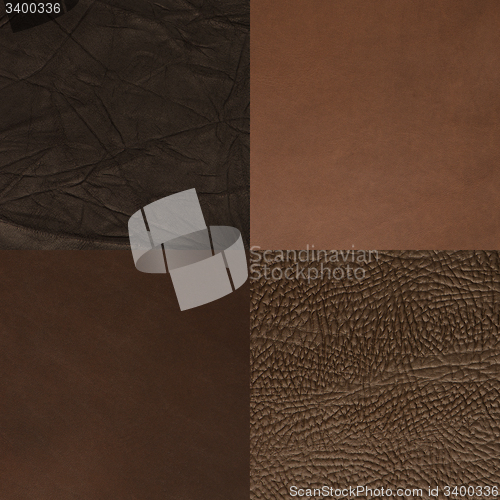 Image of Set of brown leather samples