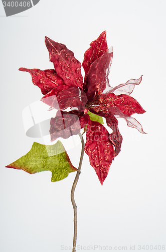 Image of Red Christmas decoration