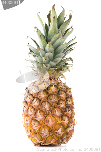 Image of Pineapple