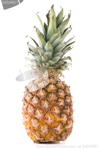 Image of Pineapple