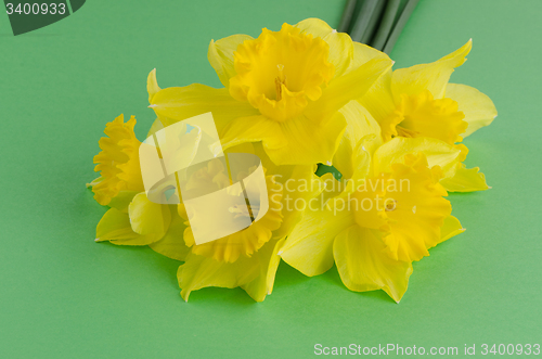 Image of Jonquil flowers
