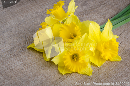 Image of Jonquil flowers