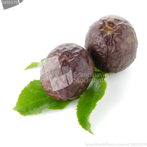 Image of Fresh passion fruit