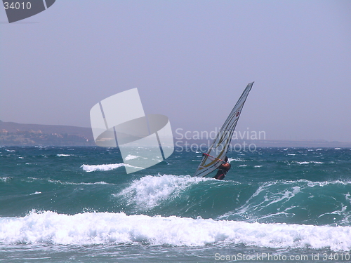 Image of wind surfer