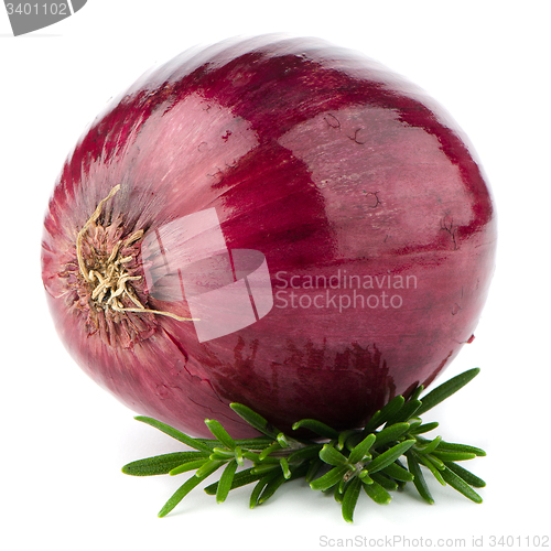 Image of Red onion