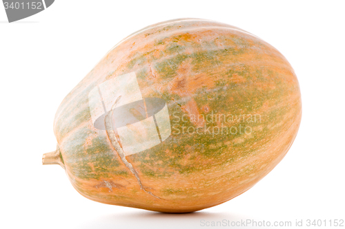 Image of Calabash pumpkin