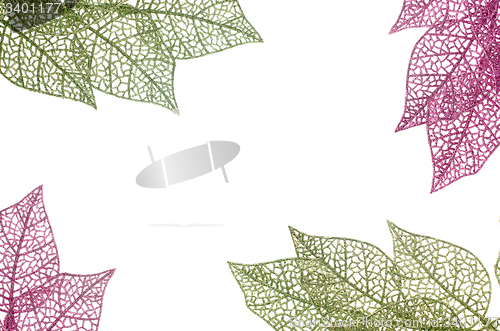 Image of Christmas decorative green and pink leaves