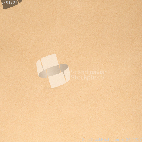 Image of Beige leather