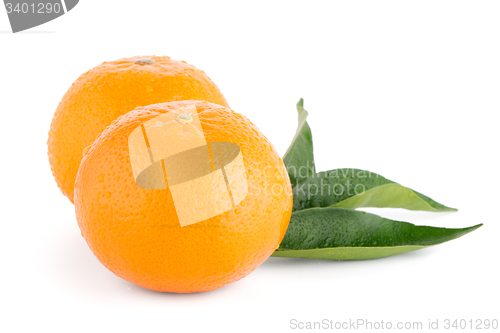 Image of Ripe tangerine or mandarin