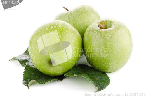 Image of Three fresh green apples