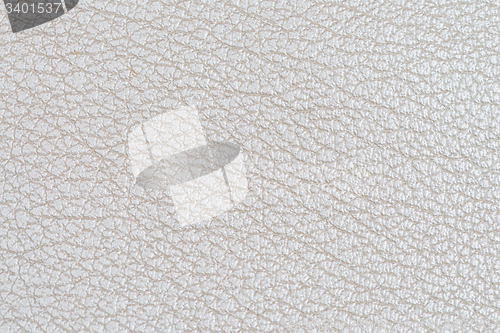 Image of White leather