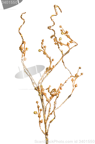 Image of Golden Christmas decoration branches