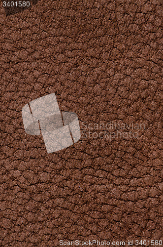 Image of Natural brown leather