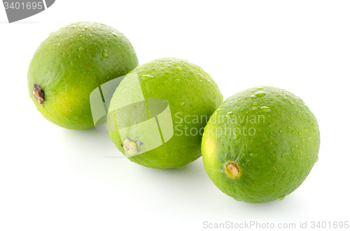 Image of Fresh green limes