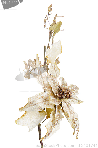 Image of White Christmas decoration
