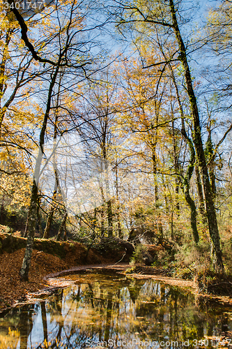 Image of Autumn view of national park of geres