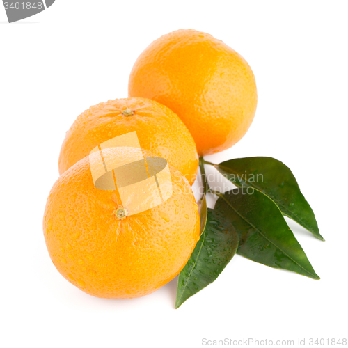 Image of Ripe tangerine or mandarin