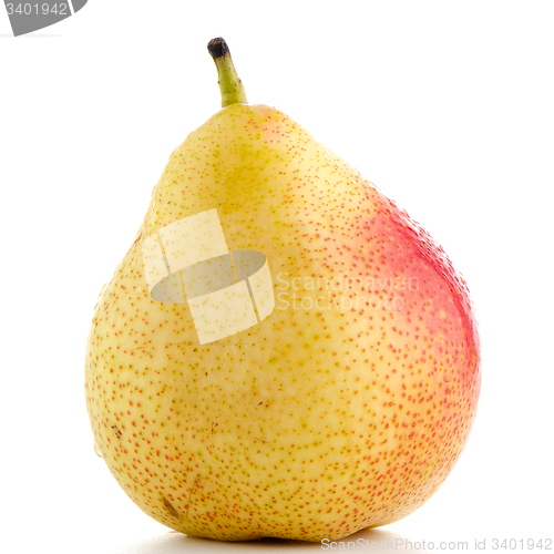 Image of Single ripe pear 