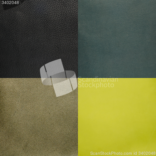 Image of Set of green leather samples