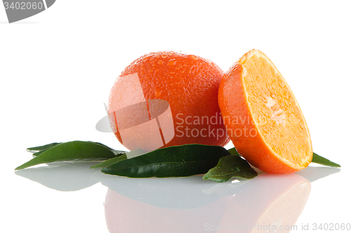 Image of Ripe tangerines or mandarin