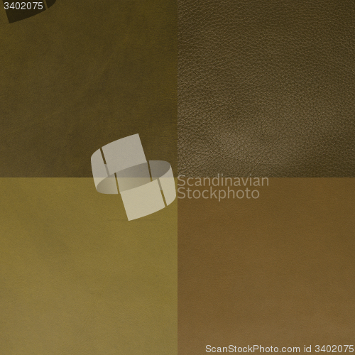 Image of Set of green leather samples