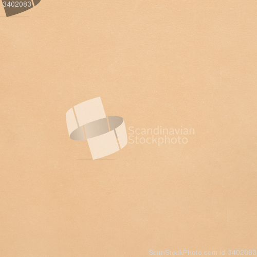 Image of Beige leather