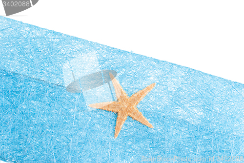 Image of Sea star blue envelope