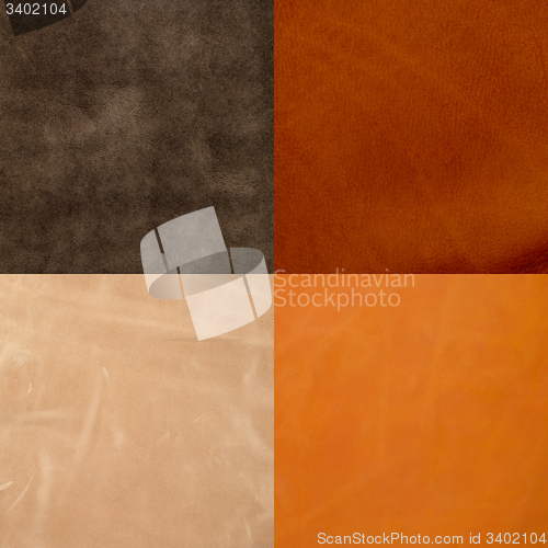 Image of Set of brown leather samples