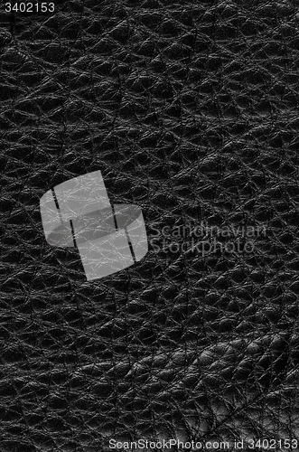 Image of Black leather 