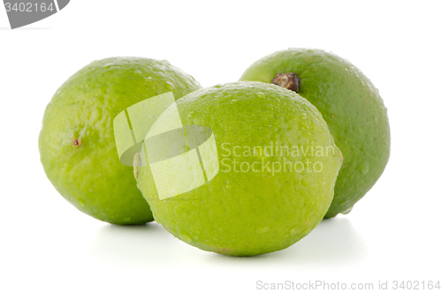 Image of Fresh green limes