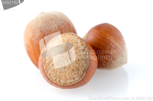 Image of Fresh hazelnuts 