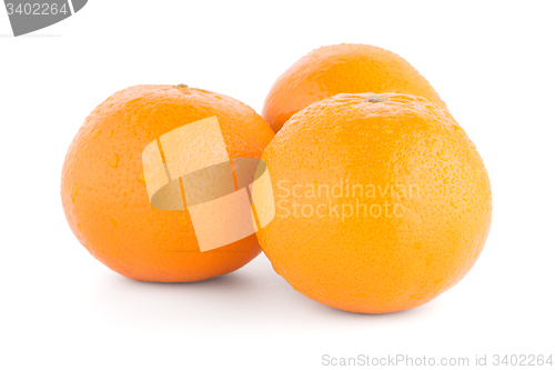 Image of Ripe tangerine or mandarin