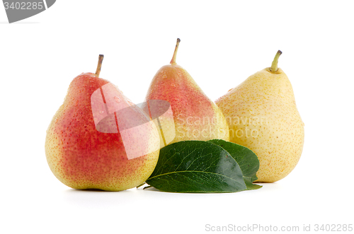 Image of Three ripe pears