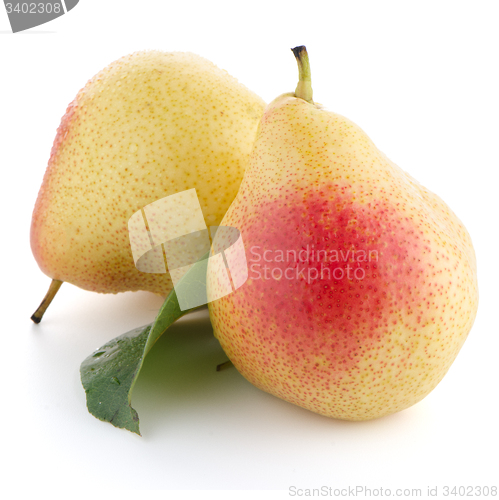 Image of Two ripe pears