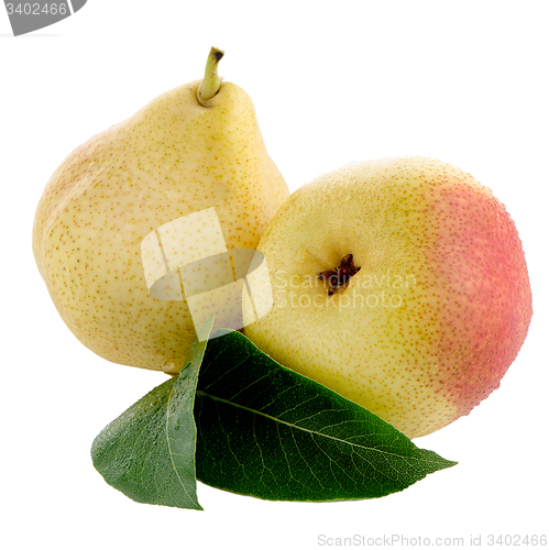Image of Two ripe pears