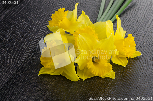 Image of Yellow jonquil flowers