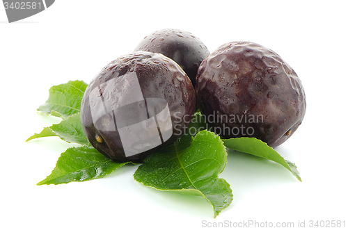 Image of Fresh passion fruit